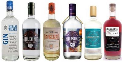 Gin Hiram Walker x 1000 c.c.<br>Gin Hilbing Londron Dry.<br>Gin Heredero x 750 c.c.(Nacional)<br>Gin Hilbing de Malbec.<br>Gin Heraclito London Dry.<br>Gin Heraclito & Macedonio.<br><br><br>