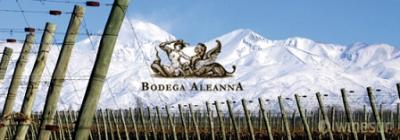 Bodega Aleanna